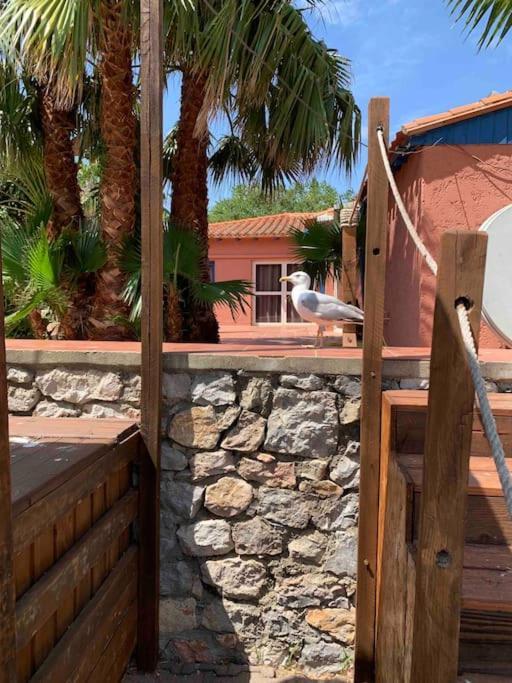 Appartement Cosy Confort Parking Clim Wifi Linge Acces Piscine Non Inclus Canet-en-Roussillon Exterior photo